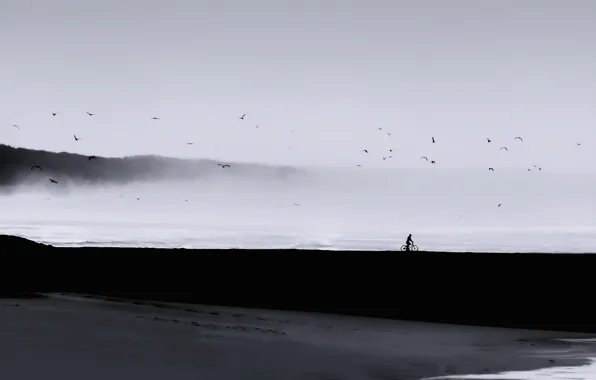 Picture sea, landscape, birds, fog, people, minimalism