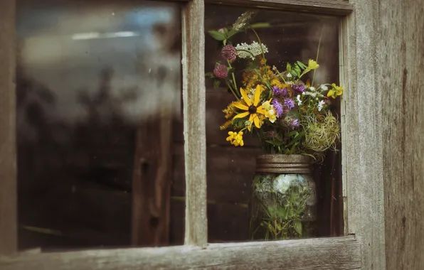 Picture flowers, background, window