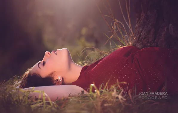 Grass, girl, the sun, trees, brunette, lies, nature, bokeh