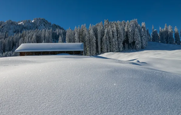Winter, roof, field, forest, the sky, light, snow, house