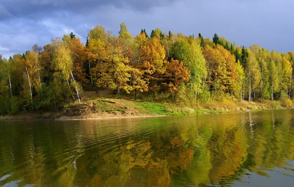 Picture the sky, trees, river, shore, Autumn