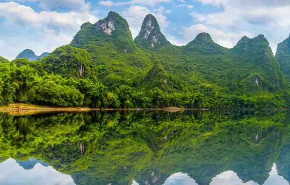 Picture forest, the sky, clouds, trees, landscape, mountains, nature, river