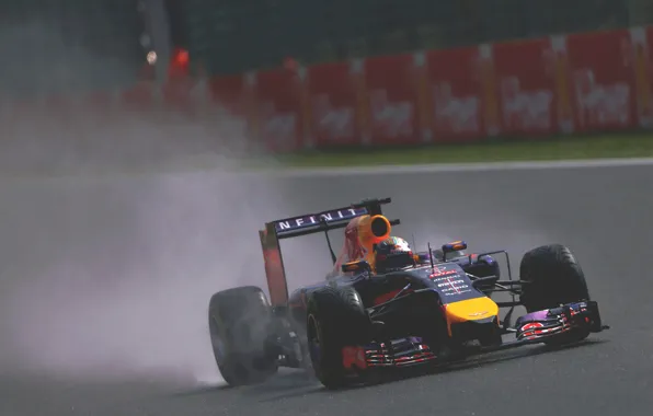 Racer, Formula 1, Red Bull, Sebastian Vettel, Champion, RB10