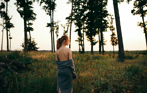 Picture forest, back, lighting, curls, Vladislav Zubtsov-Topolenko