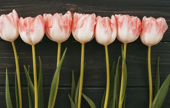 Picture flowers, bouquet, tulips, pink, wood, pink, flowers, tulips