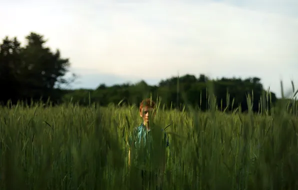 Field, mood, boy