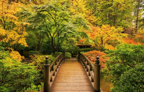 Wallpaper autumn, bridge, Park, © JAY HUANG images for desktop, section ...