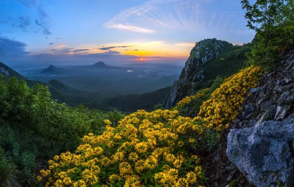 Picture sunset, flowers, mountains