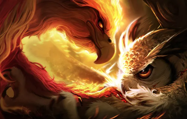 Owl, eagle, Lionheart, Lea Dabssi