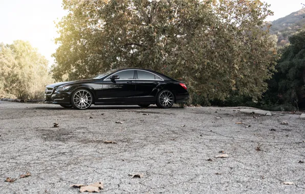 Black, side, black, Mercedes Benz, Mercedes, CLS550