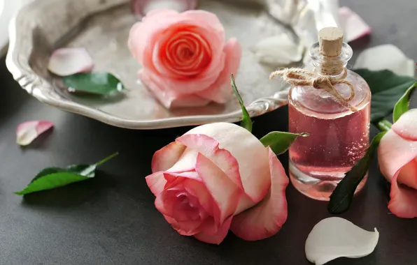 Picture perfume, petals, rose, pink, petals, pink roses, spa, oil