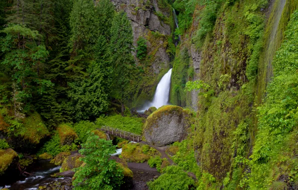 Picture bridge, river, rocks, vegetation, waterfall, Oregon, Wahclella Falls