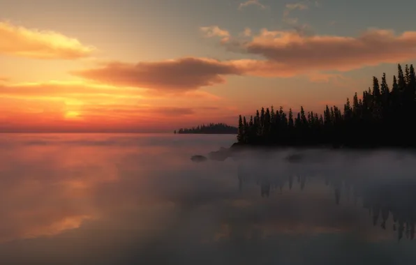 Trees, sunset, fog, lake