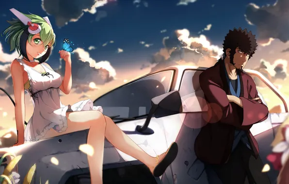 Picture girl, butterfly, guy, cyborg, car, anime, art, Dimension W