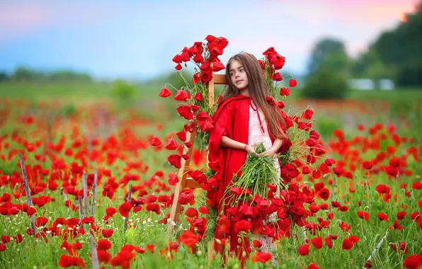 Picture flowers, nature, Maki, girl