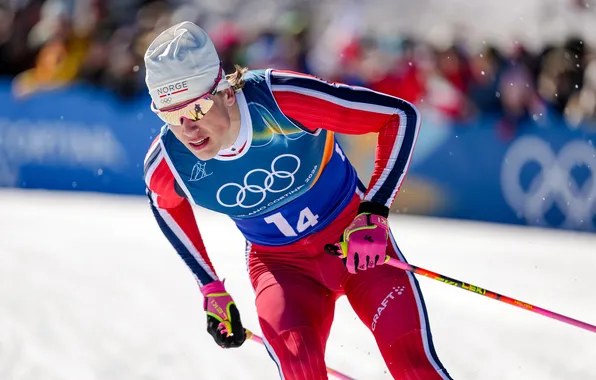 Picture Olympic champion, ski race, Йоханнес Клэбо, Johannes Klaebo