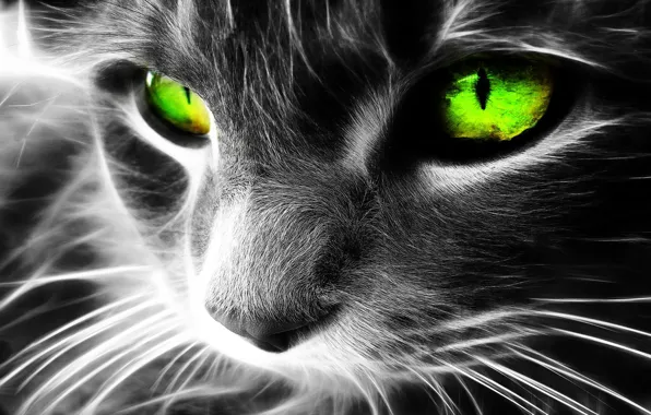 Picture cat, art, green eyes