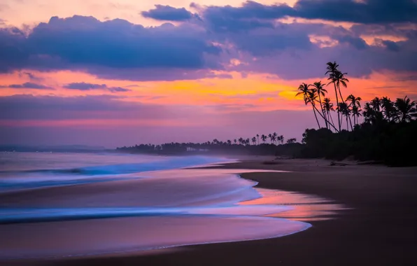 Sea, beach, the sky, clouds, palm trees, the ocean, the evening