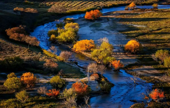 Picture autumn, trees, river