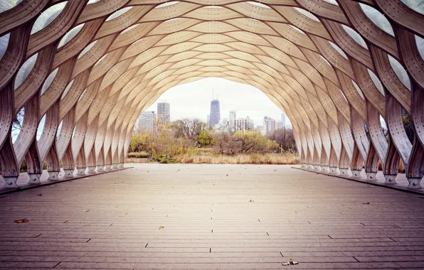 Picture trees, the city, the tunnel, Chicago