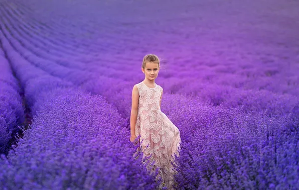 Picture field, flowers, nature, girl, lavender