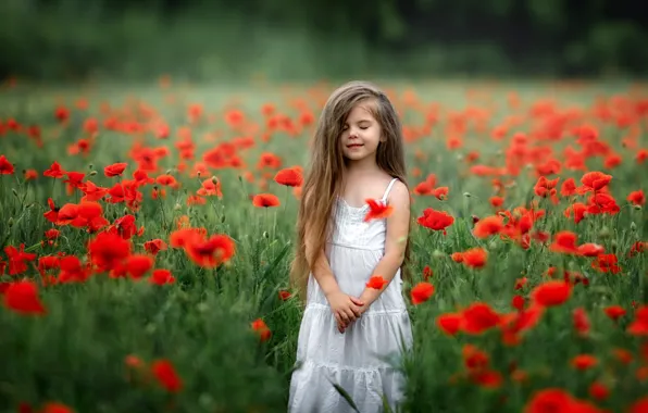 Field, white, summer, flowers, Maki, child, girl, red