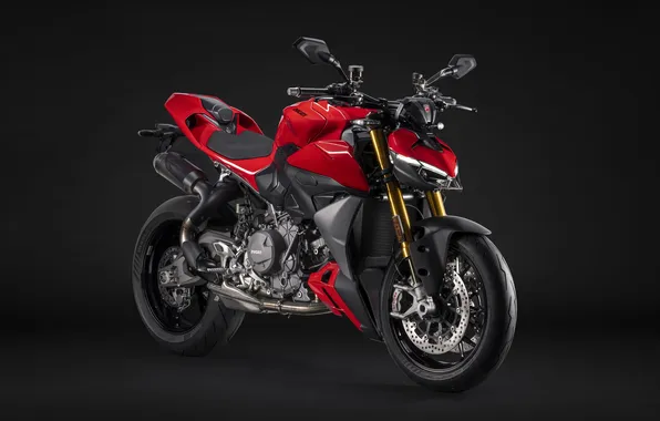 Ducati, Street Fighter, Bikes, Motorcycles, 2025, Dark background