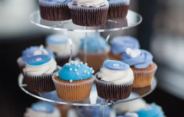 Food, decoration, dessert, cakes, sweet, cupcakes