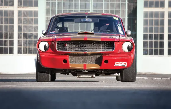 Mustang, Ford, Shelby, Ford, Mustang, 1966, Shelby, GT 350H
