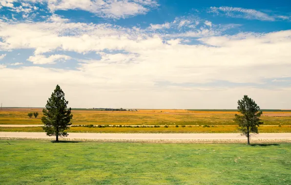 Green, colors, road, kansas, trees, landscape, grey, yellow