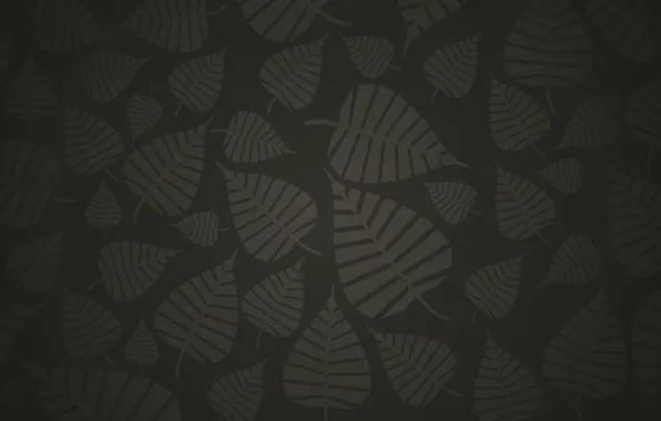 Grey, background, black, Leaves, dark