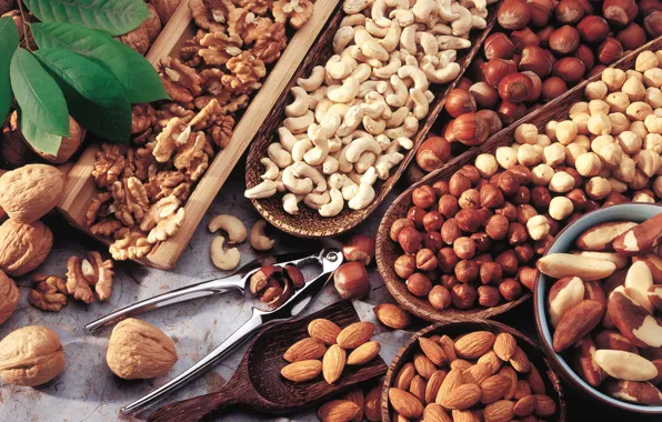 Picture nuts, almonds, hazelnuts, cuts, cashews, Brazilian, walnut