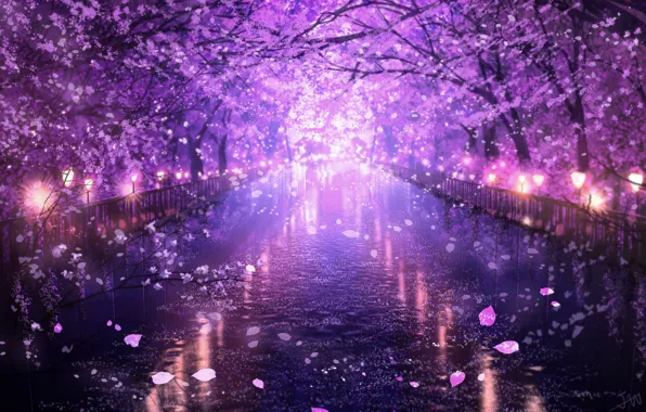 Water, the evening, Sakura, flowering