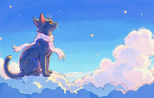 Cat, the sky, cat, stars, clouds, night, nature, pose