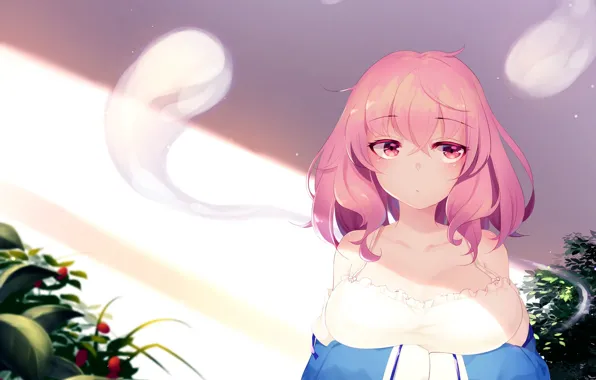 Look, girl, Touhou, Touhou, Touhou