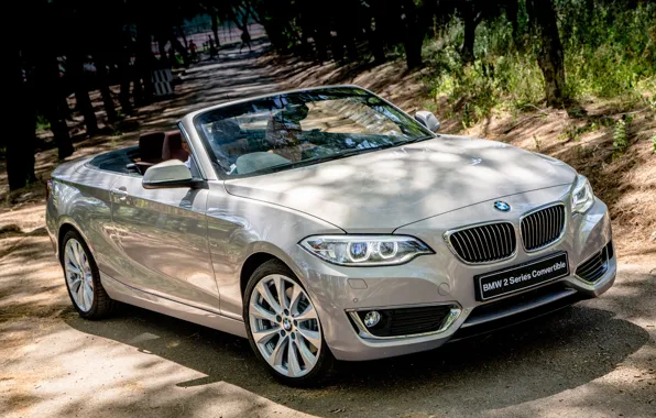 BMW, BMW, convertible, Cabrio, Luxury, 2015, F23, ZA-spec
