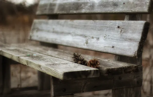 Picture macro, background, bench