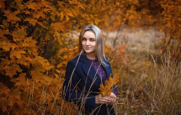 Autumn, leaves, branches, smile, Girl, Sergey Sorokin