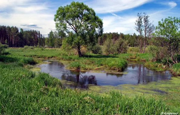 The sky, water, nature, river, treatment, beautiful, Landscape, Verba