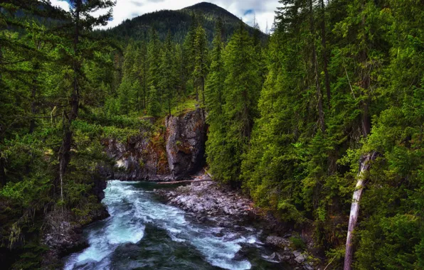 Picture forest, mountains, nature, river, stones, thresholds