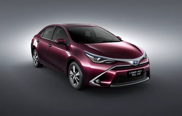 Picture Toyota, HEV, Toyota, 2015, Levin, Levin