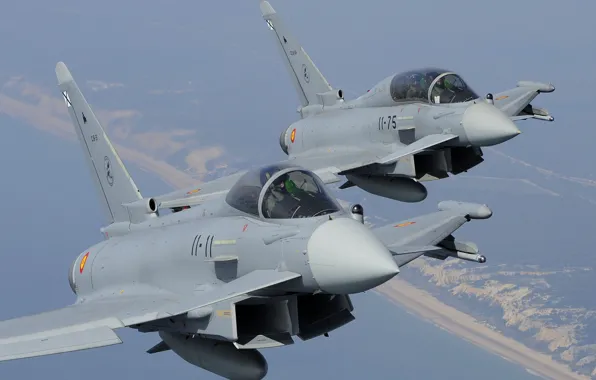 Fighter, Lantern, Pilot, Eurofighter Typhoon, Cockpit, The air force of Spain, PGO, ILS