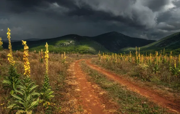 Picture road, the storm, landscape, clouds, nature, hills, Crimea