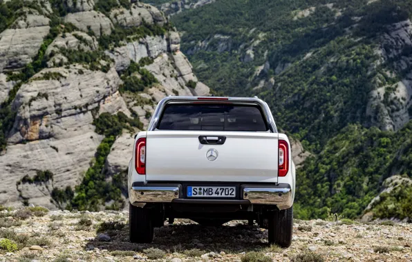 Picture white, mountains, open, vegetation, Mercedes-Benz, pickup, feed, 2017