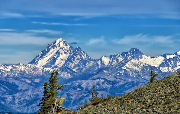 Picture trees, mountains, tops, slope, Washington, Mount Stuart