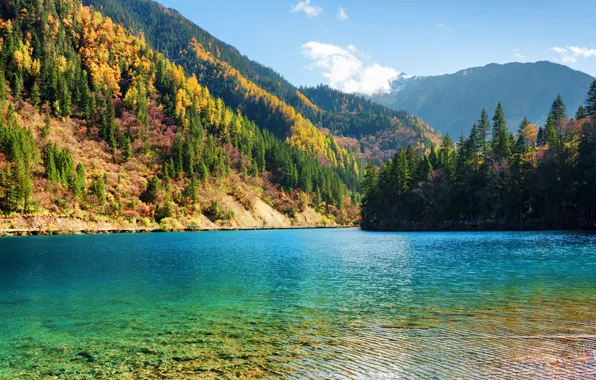 Autumn, forest, trees, mountains, lake, China, Sunny, reserve