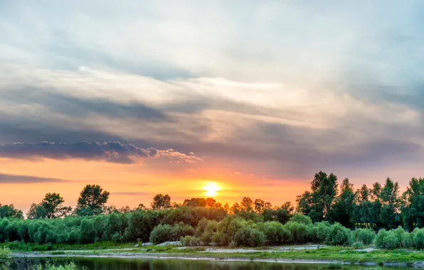 The sky, the sun, trees, sunset, river, shore, Ukraine, the bushes