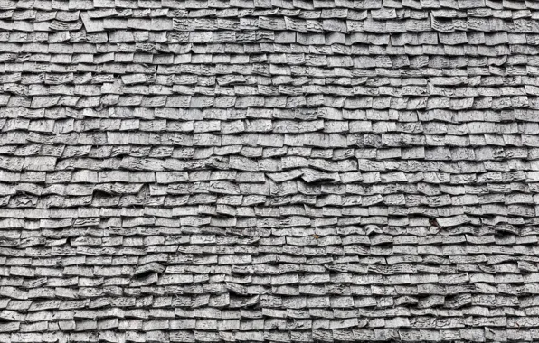 Wall, bricks, pattern, gray