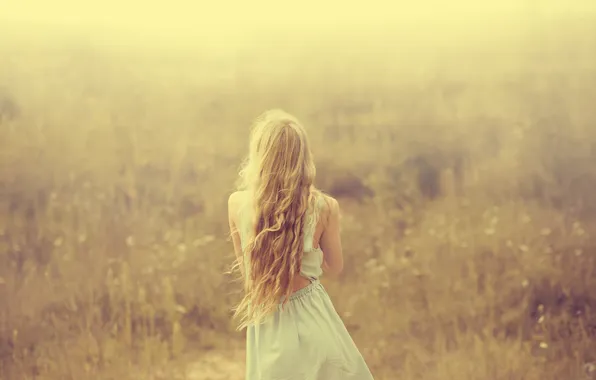 Field, grass, girl, fog, back, blonde, long-haired