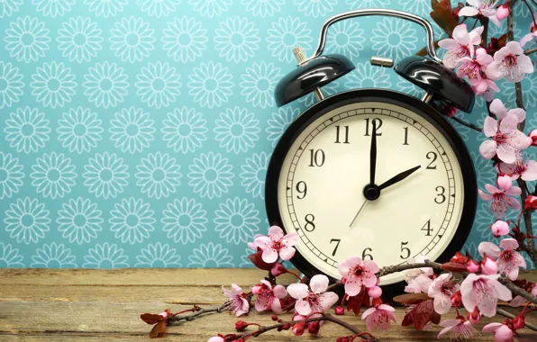 Picture time, watch, branch, alarm clock, flowers